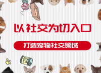 OpenSNS社区论坛系统：如何打造垂直细分宠物社区
