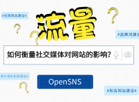 如何衡量社交媒体对网站的影响？